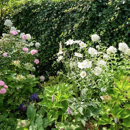 In Near Sandy Beaches Lejlighed *