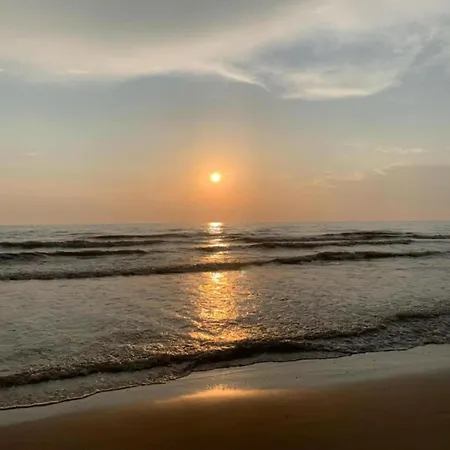 In Near Sandy Beaches