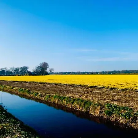 In Near Sandy Beaches Lejlighed