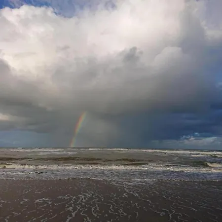 In Near Sandy Beaches Bergen