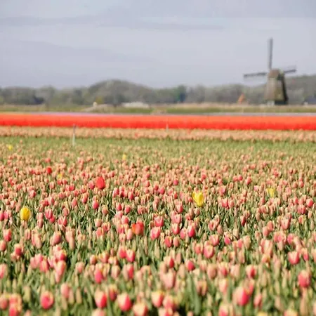 Lejlighed In Near Sandy Beaches Bergen