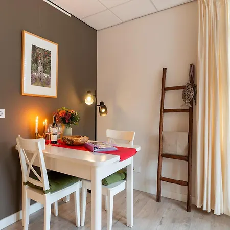 In Near Sandy Beaches