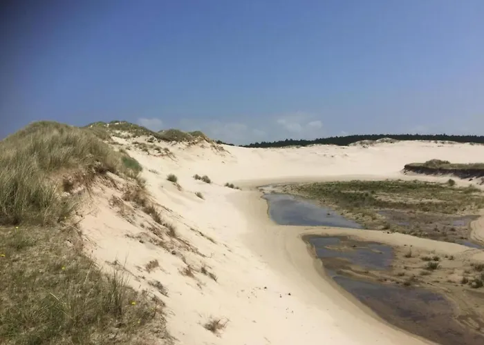 Apartamento In Near Sandy Beaches *