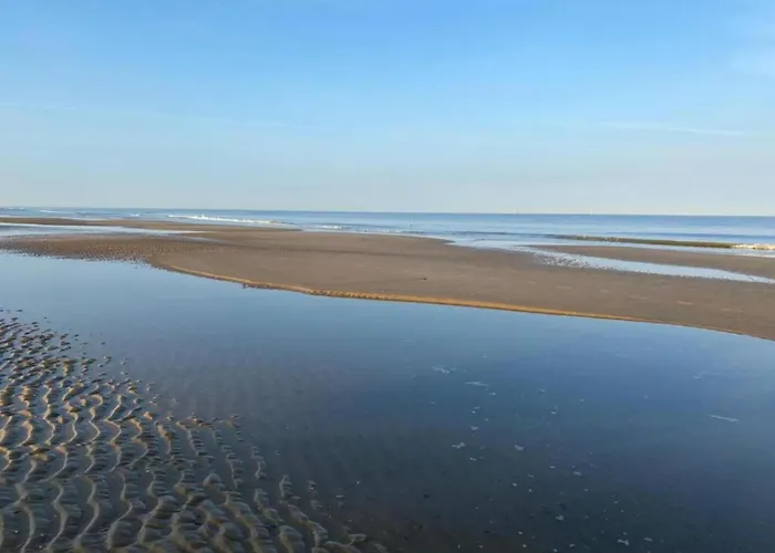 Apartamento In Near Sandy Beaches