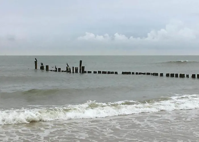 In Near Sandy Beaches Bergen