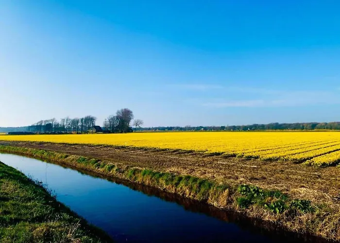 In Near Sandy Beaches Apartamento