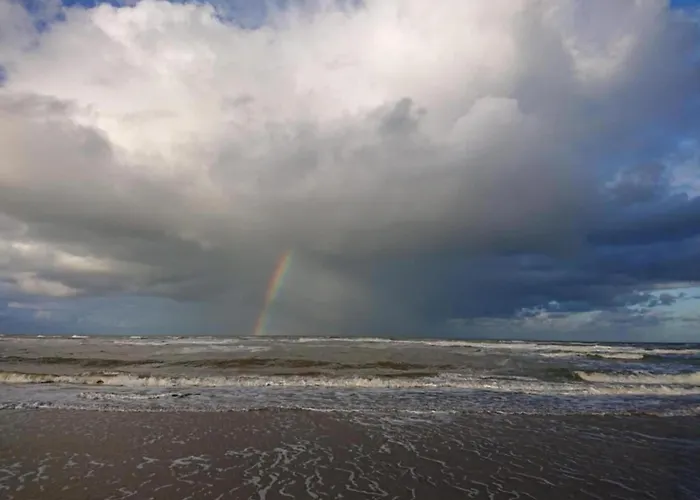 In Near Sandy Beaches Bergen