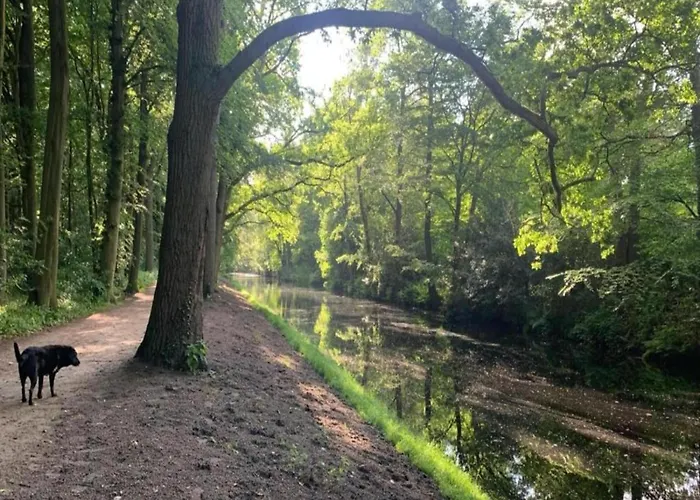 In Near Sandy Beaches