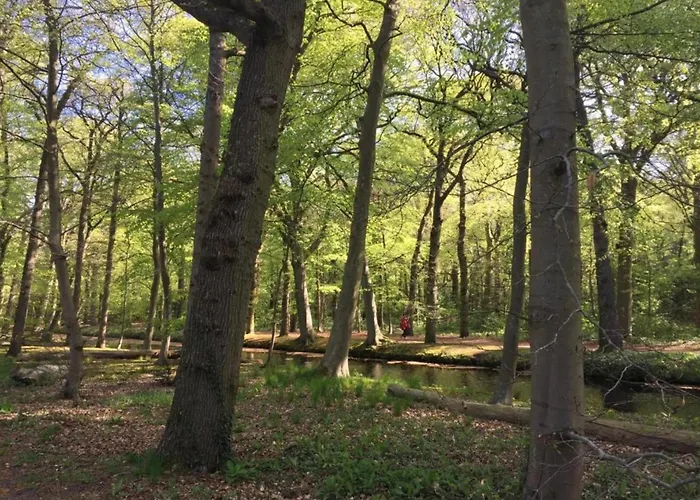 In Near Sandy Beaches Apartamento Bergen