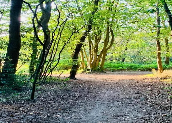 In Near Sandy Beaches Bergen