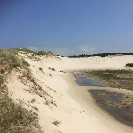 아파트 In Near Sandy Beaches *