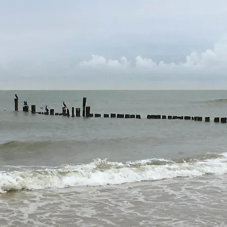 In Near Sandy Beaches Bergen