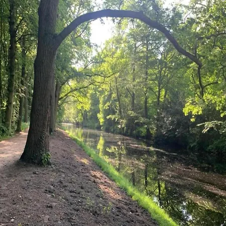 In Near Sandy Beaches