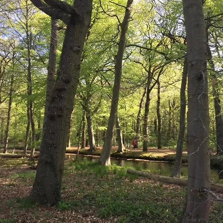 In Near Sandy Beaches Apartament Bergen